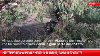 Maltempo Usa: almeno 2 morti in Alabama, danni in 52 contee