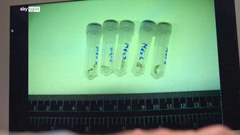 ERROR! Delitto Garlasco, analisi su nuovi reperti, atteso esito dna