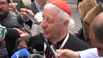 Card versaldi i criteri scelta nuovo papa sono più alti non sono umani