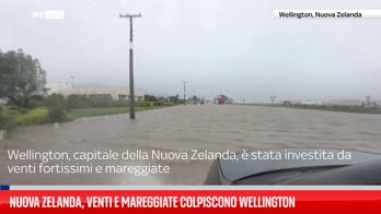 Nuova Zelanda, venti e mareggiate colpiscono Wellington