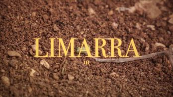 VIDEO - Limarra presenta Abbi Cura