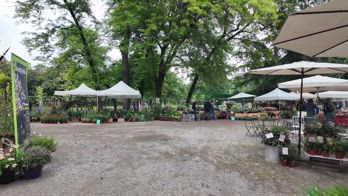 Emb. Flash, a Fuoriorticola, tra arte e botanica