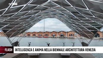 EMB., Flash, alla biennale di arichitettura di Venezia