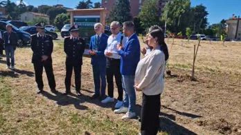 f1-domenicali-gp imola-alberi