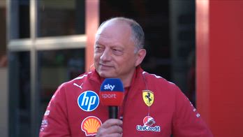 PADDOCK INTV VASSEUR