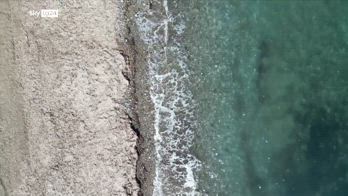 Foresta Blu, progetto per curare il polmone del mediterraneo