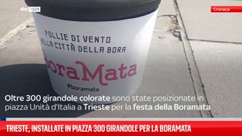 Trieste, installate in piazza 300 girandole per la Boramata