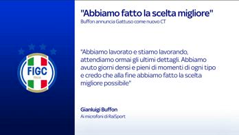 WARN! - BUFFON SU GATTUSO
