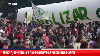 ERROR! FL MARCIA CANNABIS BRASILE