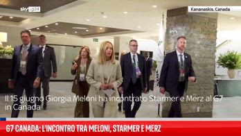 FL Meloni