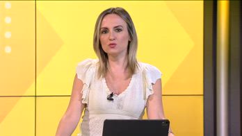 WARN! - nazionale gattuso presentazione giovedì