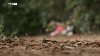 Villa Pamphili, la donna trovata morta è russa e si chiamava Anastasia