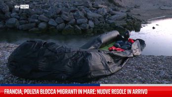 Ice, scontri tra polizia e manifestanti