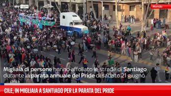 Cile, in migliaia a Santiago per la parata del pride