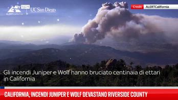 California, incendi Juniper e Wolf devastano Riverside County