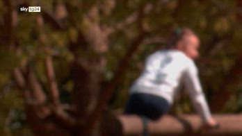 ERROR! Lavinio, due bambini azzannati da Rottweiler