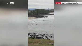Australia, 16enne ferito gravemente da uno squalo