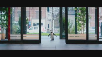 Paul -Un pinguino da salvare film
