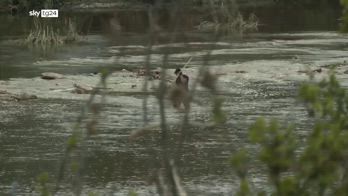 Alluvioni in Texas, sale a oltre 100 morti il bilancio delle vittime