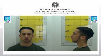 Bologna, Cavallari in fuga forse all'estero