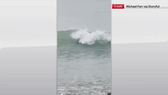 Nuova Zelanda, foca gioca cavalcando le onde a Te Awanga