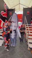 acosta incontro squalo gp germania video