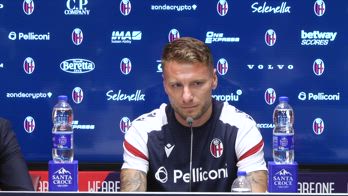 CONF IMMOBILE SU STIMOLI E SOGNO_2027678