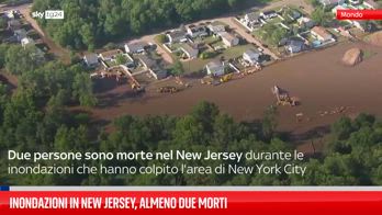 FL INDONDAZIO USA