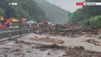 Piogge Corea Sud: soccorritori liberano strade da detriti