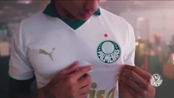 roma rios palmeiras