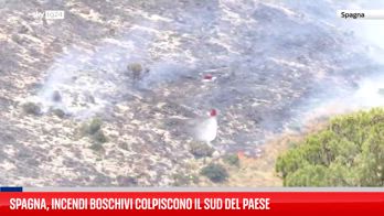 Spagna, incendi boschivi colpiscono il sud del Paese