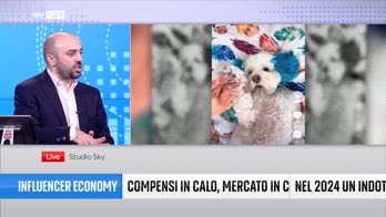 Quanto guadagnano gli influencer in Italia