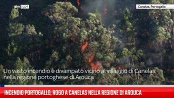 Incendio Portogallo, rogo a Canelas nella regione di Arouca