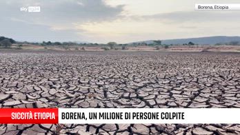 Borena, la terra senza più acqua
