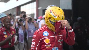 capelli su hamilton