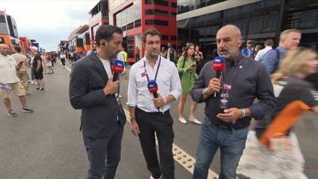 capelli su hamilton