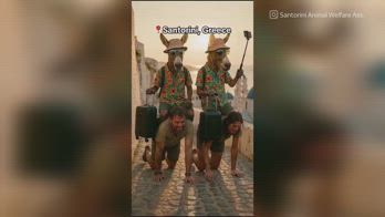Santorini, asini per trasporto turisti: protesta animalisti