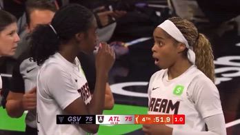 WNBA, dagli spalti arriva un sex toy in campo