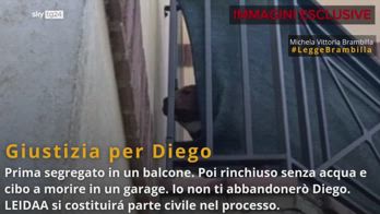 Reggio Emilia, morte pitbull Diego: condanna dalla Brambill
