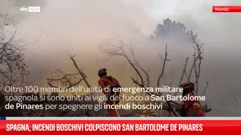 Spagna, incendi boschivi colpiscono San Bartolome de Pinares
