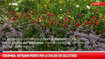 artisti fiori colombia