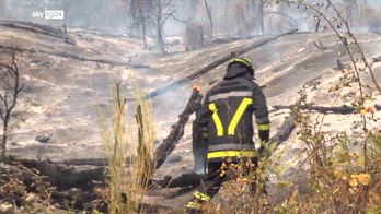 Emergenza incendi, Legambiente: in fumo 56mila ettari nel 2025