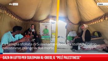 ERROR! FL PELE PALESTINESE
