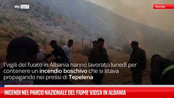 ERROR! FL ALBANIA