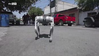 Waldog, il cane robot che insegna l'amore per gli animali
