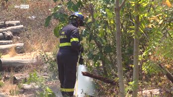 Incendio Vesuvio, in volo sulle zone distrutte