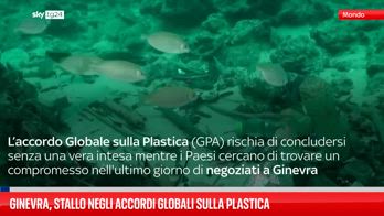 plastica