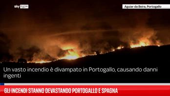 FLUID INCENDI