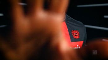 SRV BONIFACE_2510580