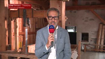 rowe bologna calciomercato news